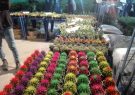 استقبال بی نظیر گچسارانی هاازدومین نمایشگاه گل وگیاه /۱۶آذرماه پایان کار نمایشگاه
