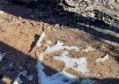 کشف جسد سوخته در یاسوج