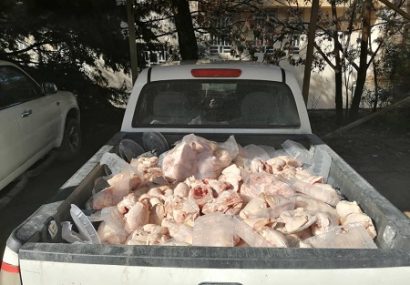کشف محموله 400 کیلو گرمی مرغ غیر قابل مصرف در یاسوج / ضرب و شتم کارشناس دامپزشکی حین انجام وظیفه