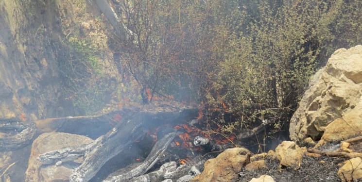 جور ناکارآمدی مسؤولان خوزستان بر دوش کهگیلویه/فاجعه در خائیز حاصل سهل‌انگاری است