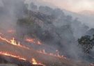 آتش‌سوزی در کوه خاییز شدت گرفت/استمداد از دوستداران محیط زیست برای مهار آتش