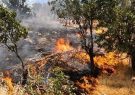 زیستگاه حیات وحش خائیز در آتش می‌سوزد/نیاز به بالگرد برای اعزام نیروهای اطفای حریق