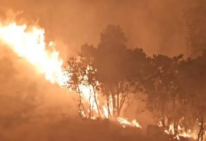 آتش سوزی گسترده جنگل‌های بویراحمد پس از دو مرحله مهار همچنان ادامه دارد