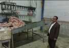 تشریح بسته تشویقی تولیدکنندگان مرغ گوشتی/ همه شرایط برای جوجه‌ریزی فراهم شد