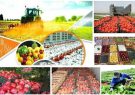 ایجاد ۴۰ طرح صنایع تبدیلی در کهگیلویه و بویراحمد چشم انتظار تایید بانک کشاورزی است