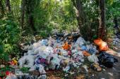 تولید زباله و پسماند در کهگیلویه و بویراحمد بالاتر از میانگین کشوری است | ضرورت فرهنگ‌سازی در زمینه مصرف