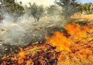 مهار آتش سوزی در مناطق رودرونه و شلالدون باشت
