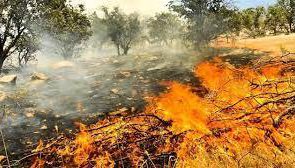 مهار آتش سوزی در مناطق رودرونه و شلالدون باشت