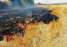 حمله آتش به مزارع و مراتع کهگیلویه و بویراحمد | ۹۵ هکتار از مزارع و مراتع بهمئی دچار آتش‌سوزی شد | آتش سوزی در مزارع و مراتع دارشاهی دنا