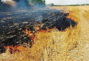 حمله آتش به مزارع و مراتع کهگیلویه و بویراحمد | ۹۵ هکتار از مزارع و مراتع بهمئی دچار آتش‌سوزی شد | آتش سوزی در مزارع و مراتع دارشاهی دنا