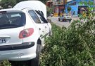 پیچ های پر خطر خیابان های شهر یاسوج