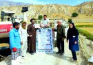بیانیه گام دوم بامشارکت فعال کشاورزان درشهرستان لنده