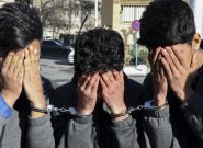 اقدامات ضربتی پلیس کهگیلویه در دستگیری سارقان | کشف احشام قاچاق تا دستگیری سارق کابل برق در کهگیلویه