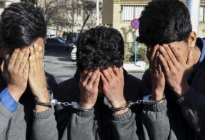 اقدامات ضربتی پلیس کهگیلویه در دستگیری سارقان | کشف احشام قاچاق تا دستگیری سارق کابل برق در کهگیلویه