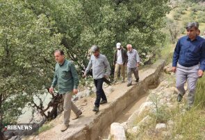 خسارت های شدید بارندگی به زیر ساخت های کشاورزی و راه منطقه پیچاب