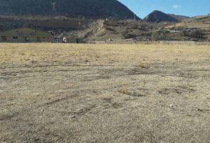 تشنگی چمن پاتاوه در مجاورت رود بشار پارادوکسی به نام بیتوجهی