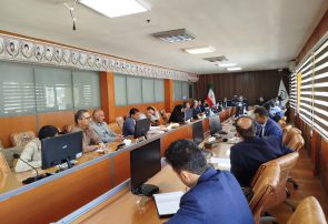 صنعت رو به زوال زنبورداری نیازمند حمایت فوری مدیران استانی