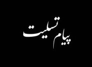 پیام تسلیت محمود مؤمننسب در پی درگذشت مهندس جهانگیر حبیبی از چهرههای ماندگار صنعت آب استان پیام تسلیت محمود مؤمننسب در پی درگذشت مهندس جهانگیر حبیبی از چهرههای ماندگار صنعت آب استان