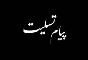 پیام تسلیت محمود مؤمن‌نسب در پی درگذشت مهندس جهانگیر حبیبی از چهره‌های ماندگار صنعت آب استان