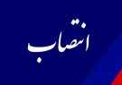 معاونت جدید خدمات، ایمنی و فضای سبز شهرداری دهدشت منصوب شد