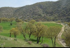 تیغ تیز زمینخواری بر گلوی طبیعت کهگیلویه و بویراحمد