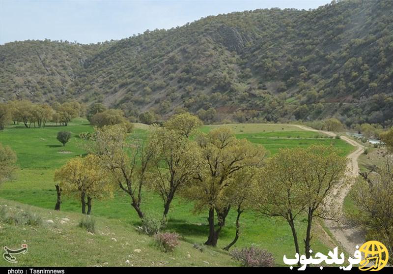 تیغ تیز زمینخواری بر گلوی طبیعت کهگیلویه و بویراحمد تیغ تیز زمینخواری بر گلوی طبیعت کهگیلویه و بویراحمد