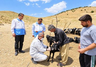 ارائه بیش از ۸۰۰ خدمت تخصصی و رایگان دامپزشکی به عشایر زنگوای بویراحمد ارائه بیش از ۸۰۰ خدمت تخصصی و رایگان دامپزشکی به عشایر زنگوای بویراحمد