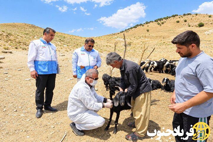 ارائه بیش از ۸۰۰ خدمت تخصصی و رایگان دامپزشکی به عشایر زنگوای بویراحمد