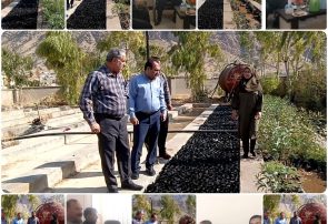 گامی نو برای سرسبزی دیار اولینها؛ آغاز کیسهگیری در نهالستان لنده و تداوم طرح جنگلکاری «سرگچ»