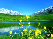 تفرجگاه «کوهگل» شهر سی سخت یاسوج. توام با تجربه آرامش و ترنم صدای آب تفرجگاه «کوهگل» شهر سی سخت یاسوج. توام با تجربه آرامش و ترنم صدای آب