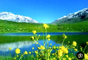 تفرجگاه «کوهگل» شهر سی سخت یاسوج. توام با تجربه آرامش و ترنم صدای آب