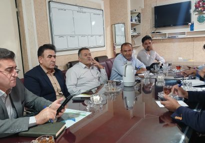 برگزاری کارگروه فضای سبز دهدشت با تأکید بر توسعه اقلیم‌محور و احیای فضای سبز شهری