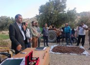 آغاز رسمی کشت زعفران در روستای بن زرد بخش پاتاوه قطب تولید استان
