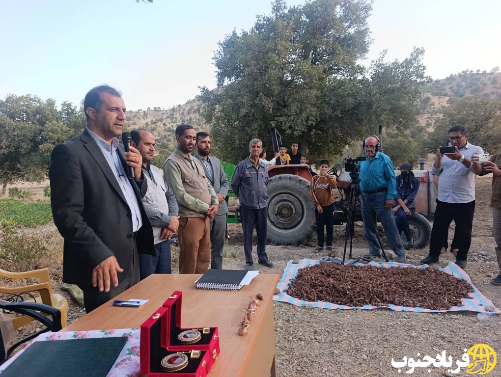 آغاز رسمی کشت زعفران در روستای بن زرد بخش پاتاوه قطب تولید استان