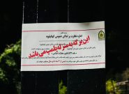 نمایش سلاح و تولید محتوای هنجارشکن؛ کافه‌باغ متخلف در دهدشت به دستور قضایی پلمب شد