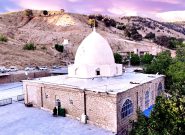صحبت های جالب حضرت آیت الله ابوفاضل رضوی اردکانی درباره امامزاده علی علیه السلام/کلیپ ویدیویی